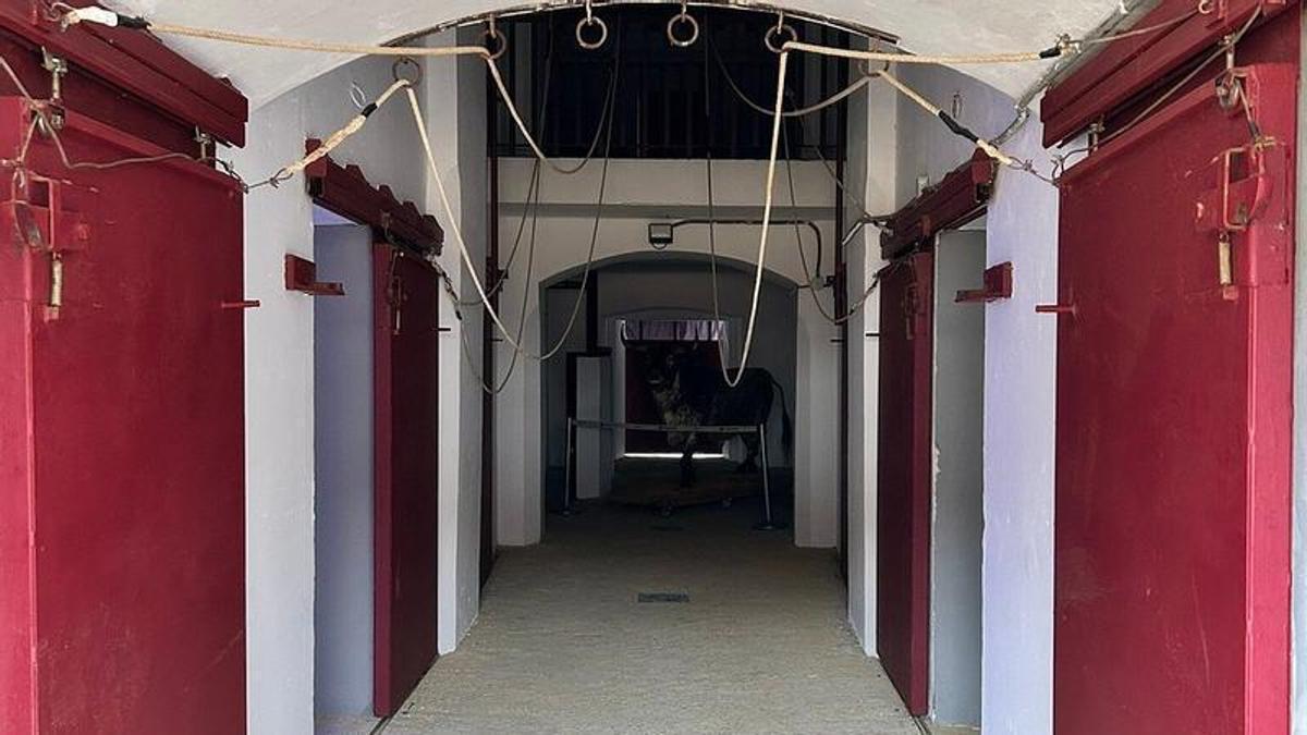 Muere el torero Ricardo Ortiz tras ser embestido por un toro en los corrales de La Malagueta