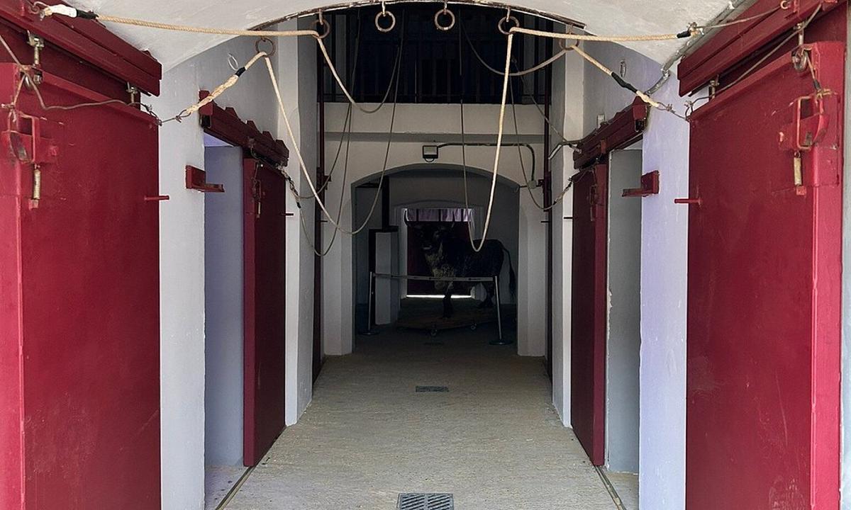 Corrales de la plaza de toros La Malagueta