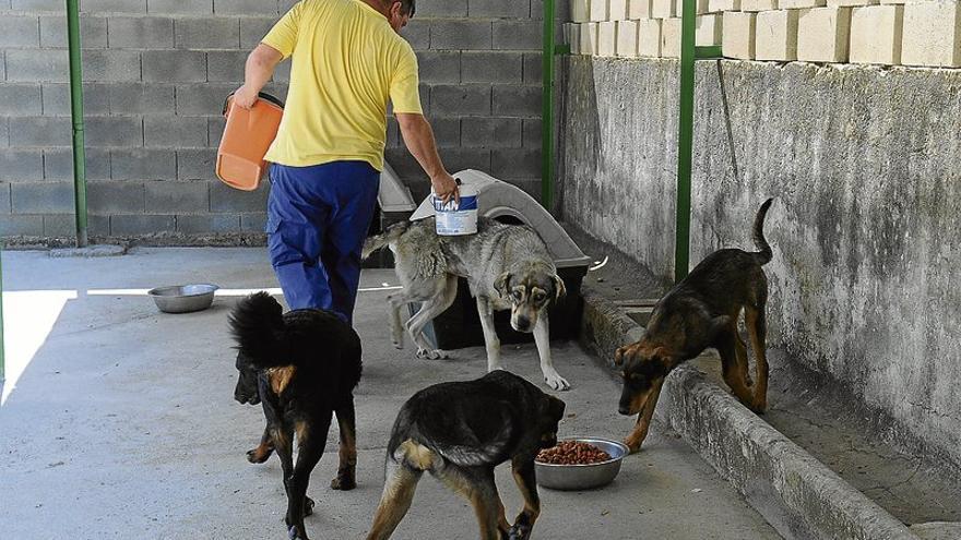 El Refugio organiza una ruta canina por San Valentín