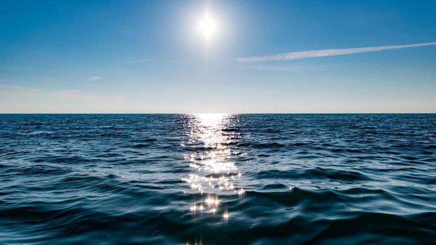 Hallan el origen de un misterioso sonido surgido del fondo del Pacífico