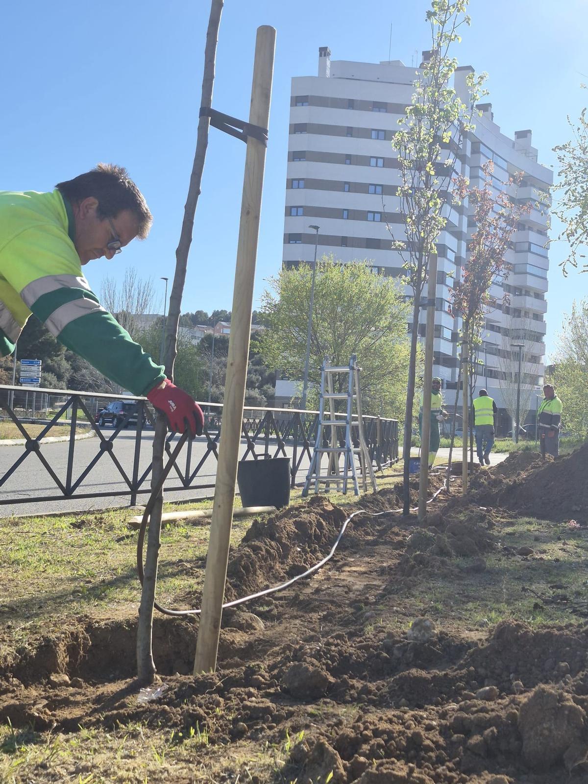 Comienza la plantación de nuevos árboles en la zona del Metro de Arganda del Rey