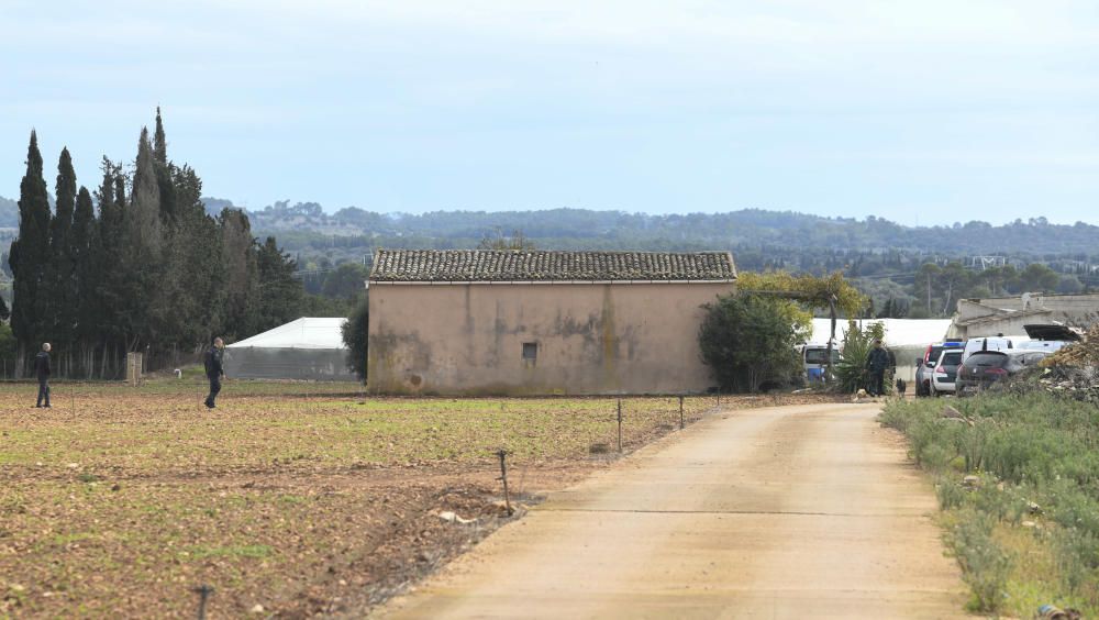 Más de 20 detenidos en una gran operación antidroga en Mallorca y la península