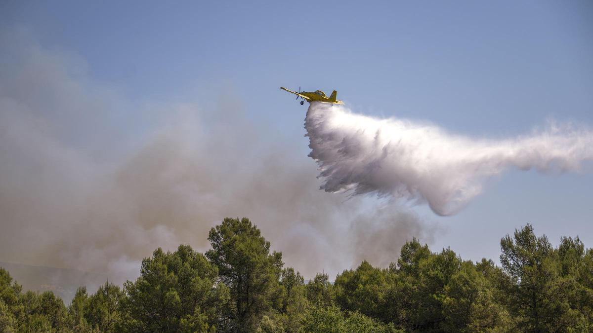 Los bomberos dan por controlado el incendio de Aiguamúrcia (Tarragona)