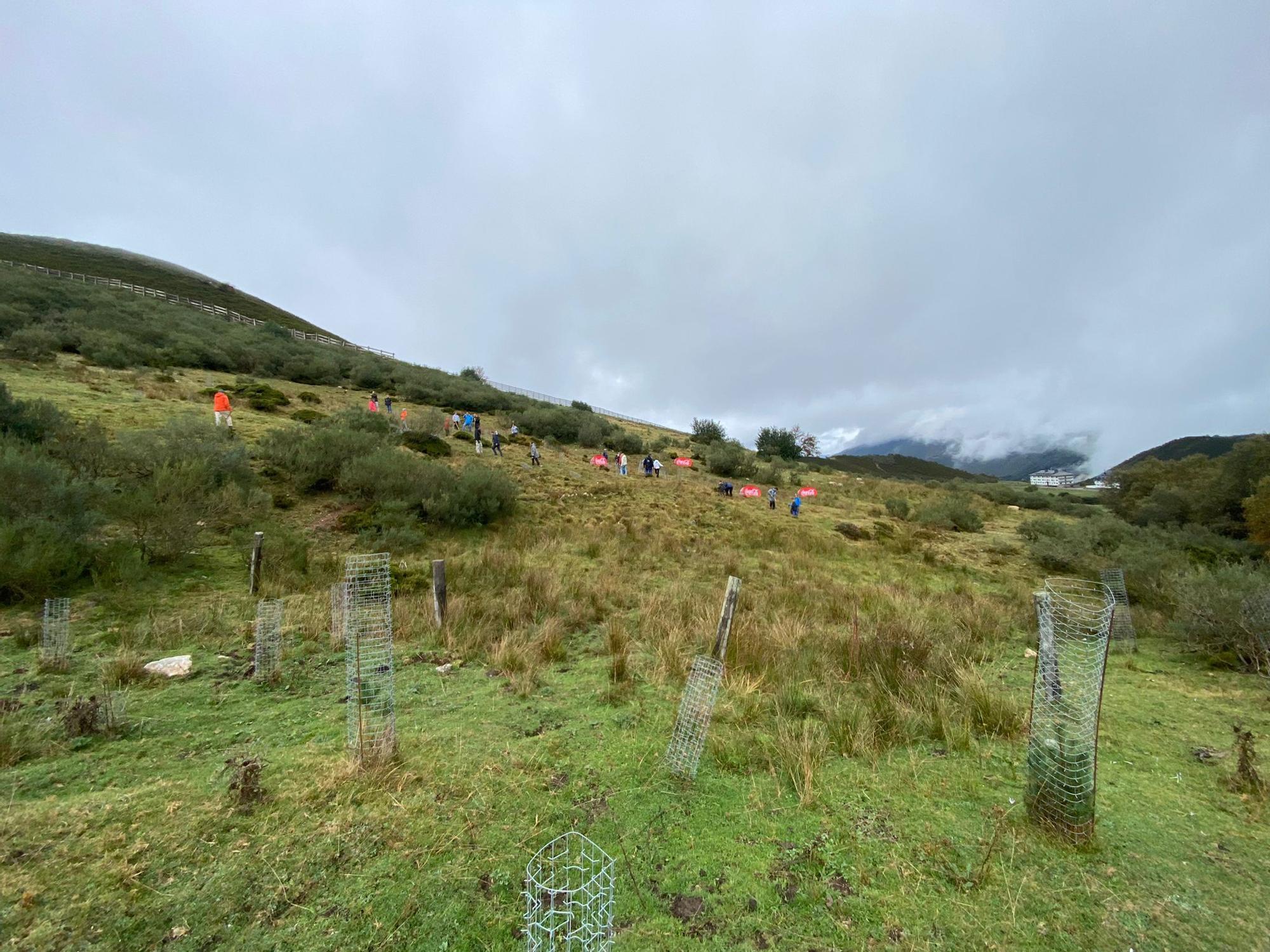 Medio centenar en niños desafían al mal tiempo para plantar árboles en "Pajares en verde"