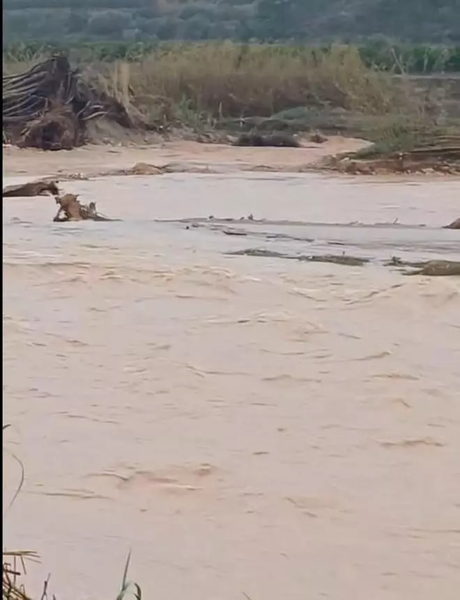 La crecida del Magro por el alivio de Forata pone en alerta los pueblos de la ribera