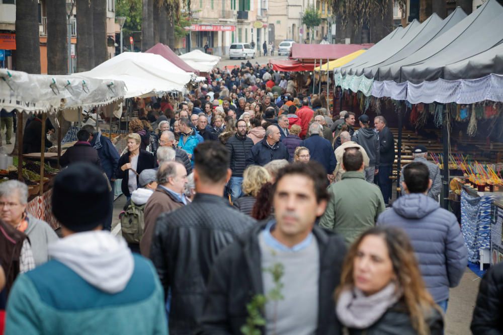 Regnerische Eindrücke von Mallorcas größtem Herbstmarkt