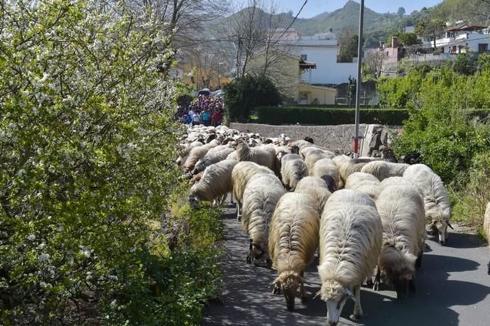 08-03-2020 VALLESECO. Feria del Queso y ruta trashumante femenina en el Cruce de Cueva Corcho. Fotógrafo: ANDRES CRUZ  | 08/03/2020 | Fotógrafo: Andrés Cruz