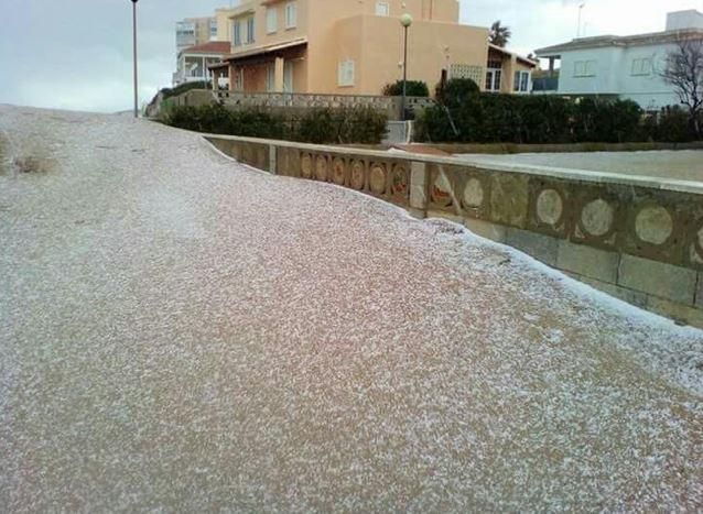 Nieve en el Perellonet.