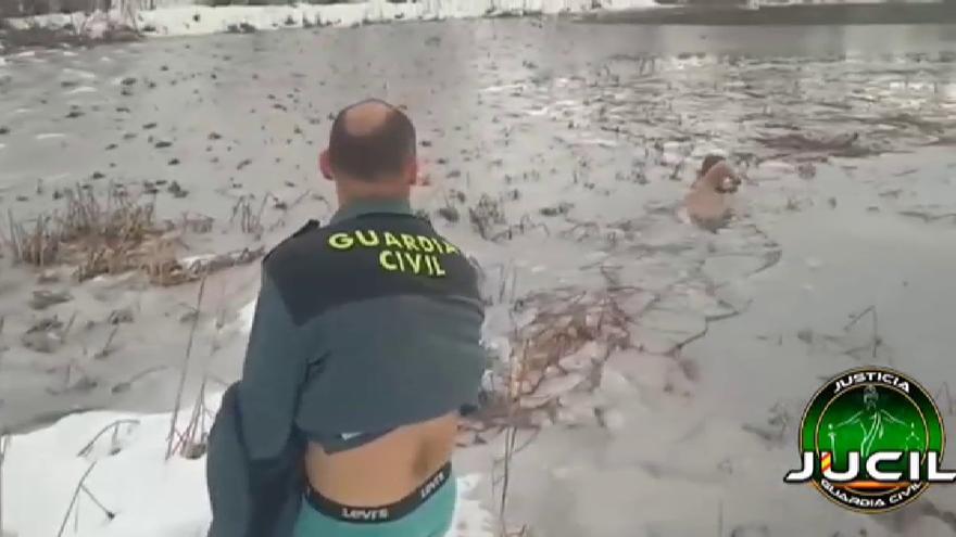 La gesta de dos guardias civiles para rescatar a un perro de un lago helado en Huesca