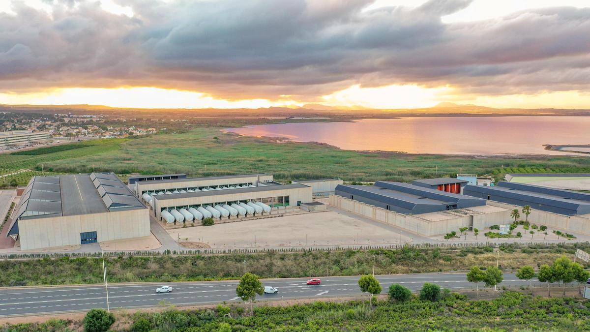 La factura energética de la desaladora de Torrevieja en 2027 será de 48 millones de euros: 378 GWh equivalentes a mover 140.000 coches eléctricos durante un año
