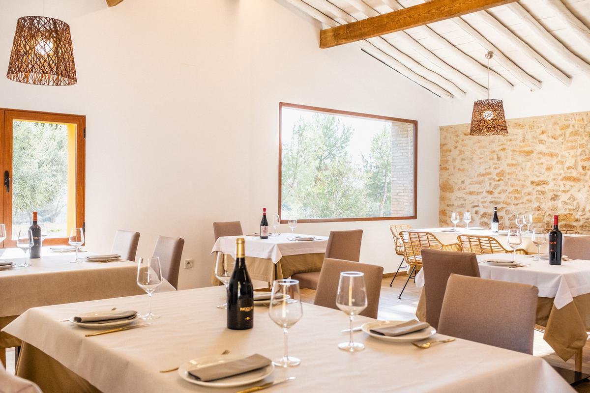Vive una experiencia inolvidable en Bodegas Nodus.