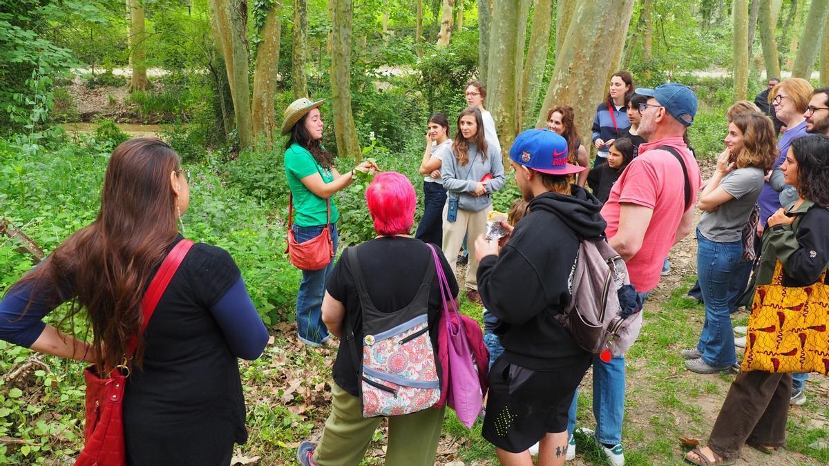 Una guia explica les propietats de les plantes durant un itinerari del Mercat de les Herbes de la Ratafia