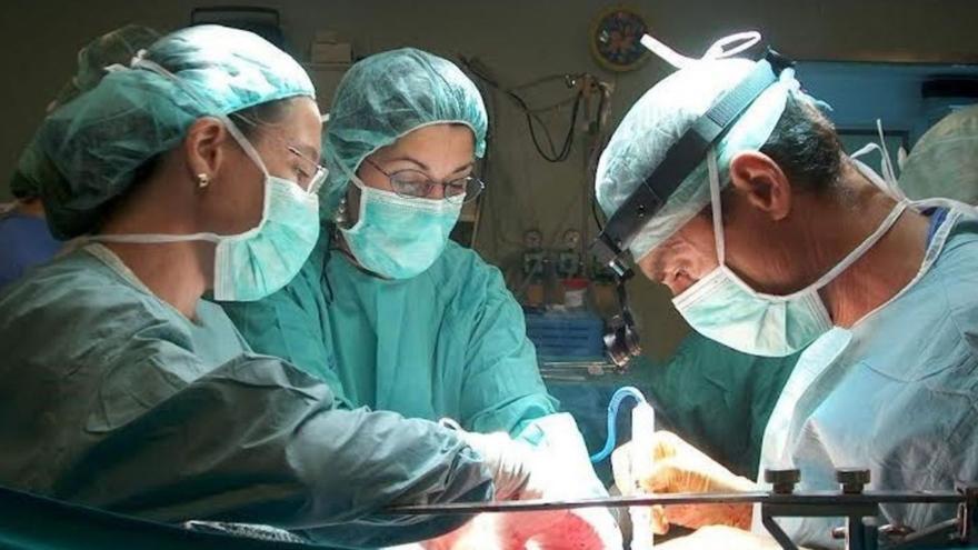 Sanitarios realizan un transplante renal.