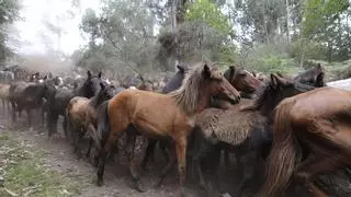 Rapa das Bestas peleará junto a Adega para parar el eólico que corta la zona de la “baixa”