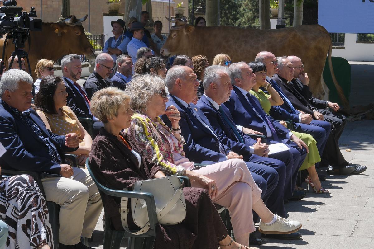 La Fiesta del Pino de Teror es declarada Fiesta de Interés Turístico Nacional