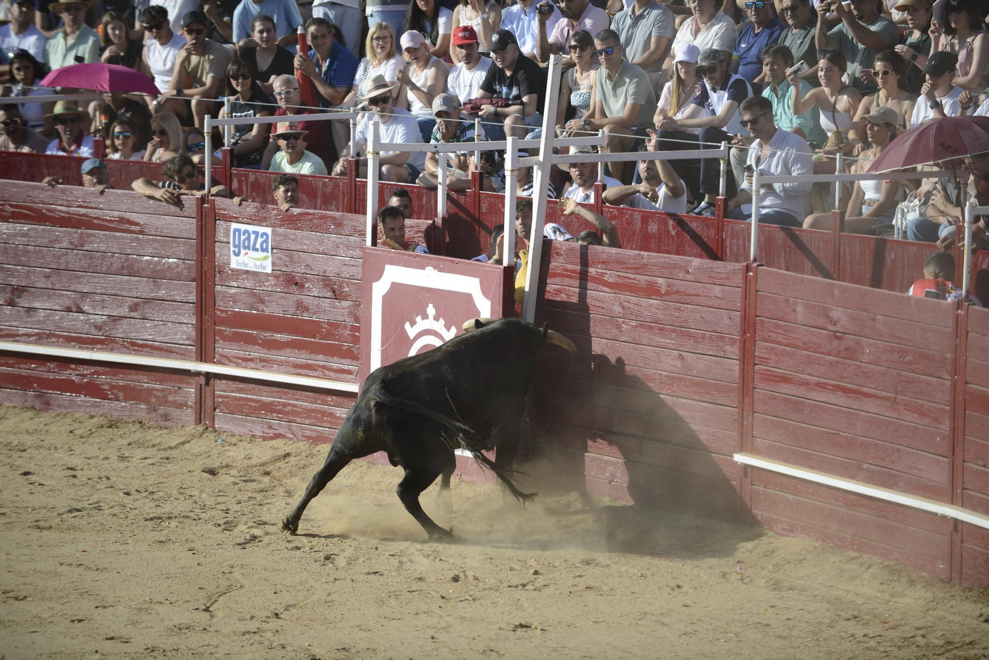 GALERÍA | Unos cuantos cortes de los arriesgados en Benavente