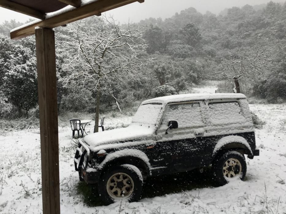 Dicke Flocken kamen am Dienstag (17.1.) in der Gegend von Puigpunyent und Galilea herunter.