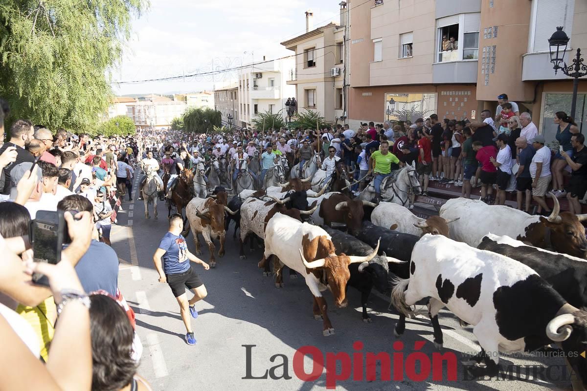 El segundo encierro de las Fiestas de Moratalla se salda con un herido