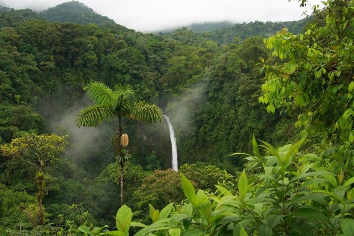 La catarata Río Fortuna se encuentra en Costa Rica.