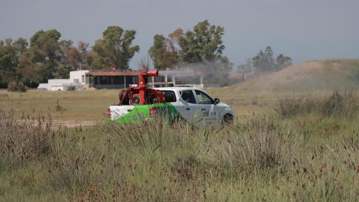 Un vehículo fumiga la zona de la Marjaleria en una imagen de archivo.