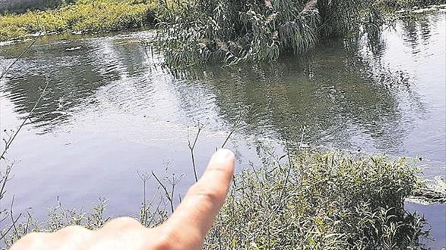 El Consorci del Millars amplía sus acciones contra la pesca furtiva