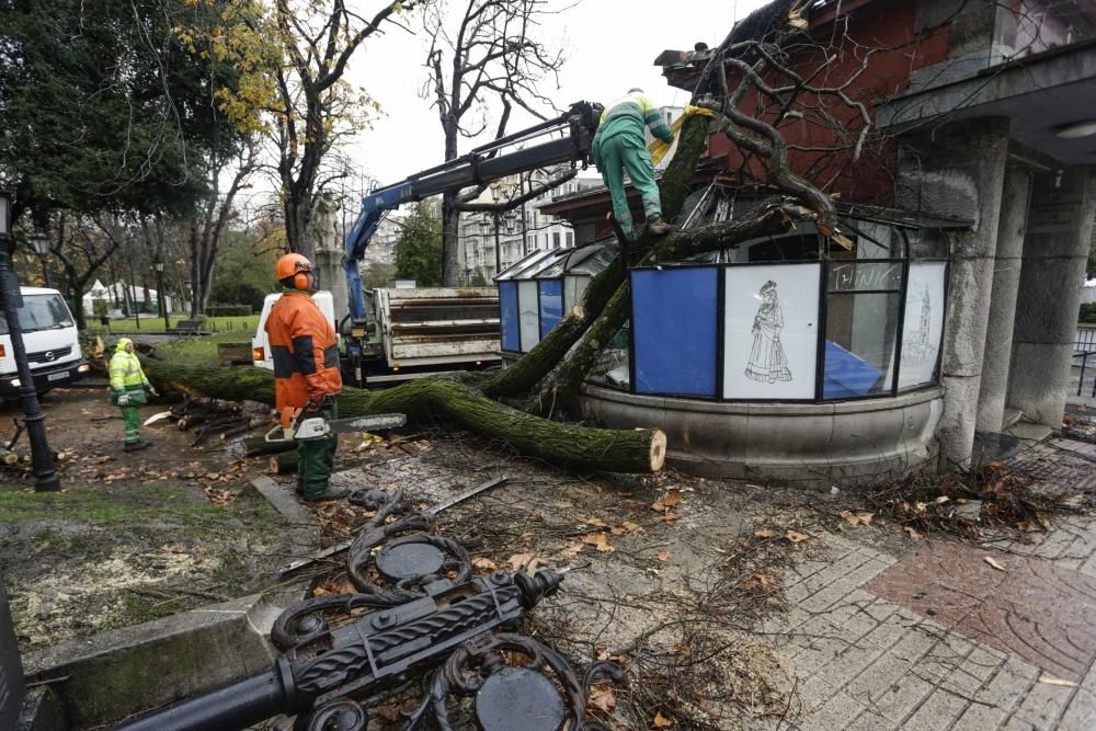 Destrozos en El Escorialín