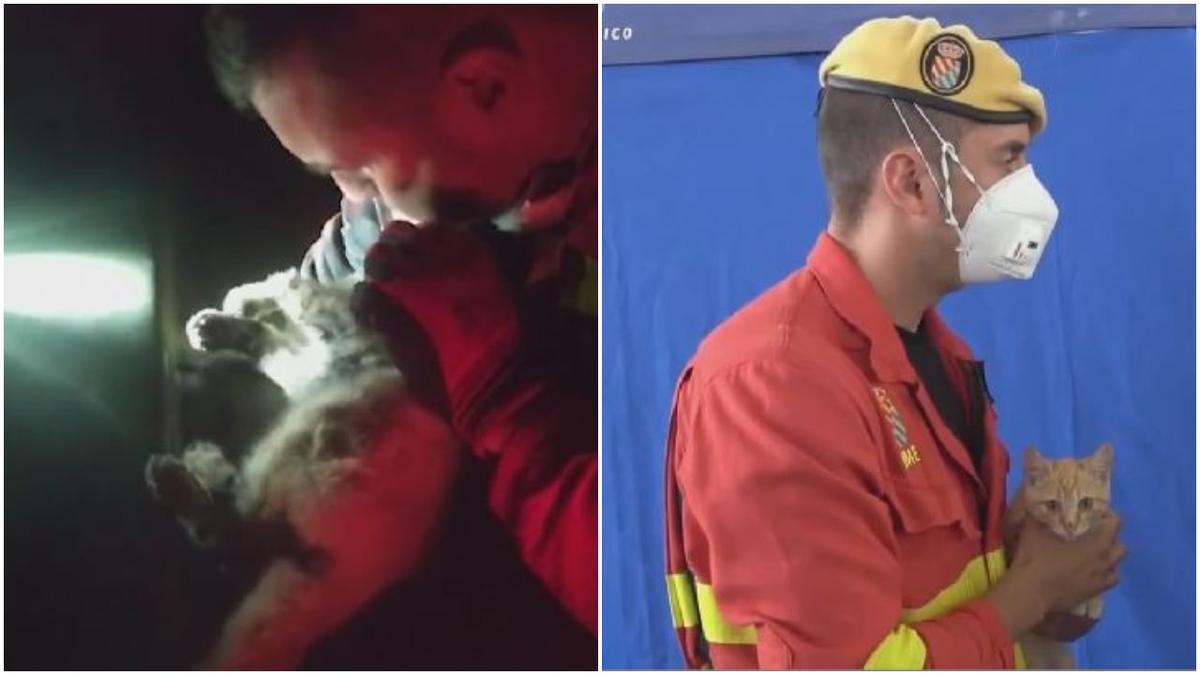 Salva la vida a un gato haciéndole el boca a boca en La Palma y lo adopta: "la UME no abandona a nadie"