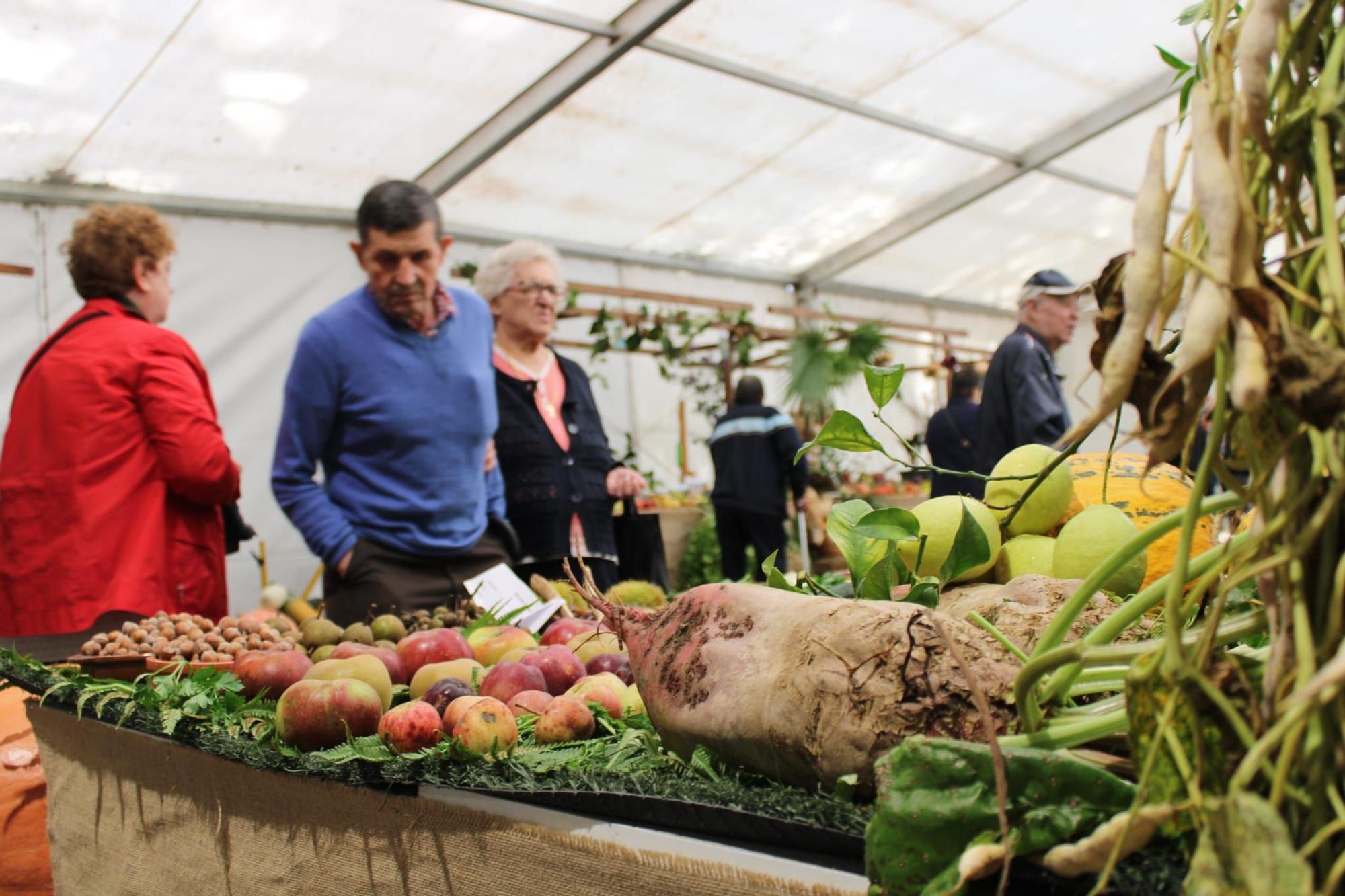 Sama celebra el III Certamen de la Huerta "Llangréu Natural"