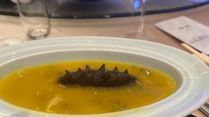 El pepino de mar