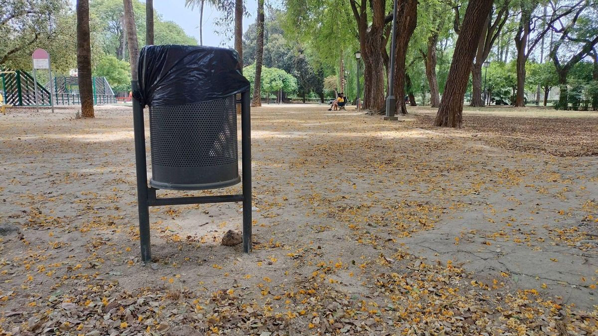 Papeleras en el Parque de los Príncipes de Sevilla, junio de 2025