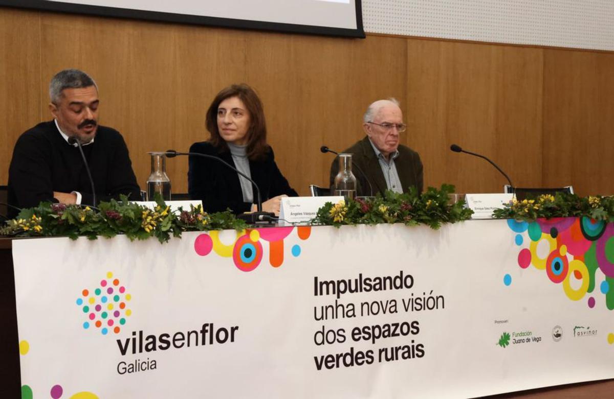 O Salnés revalida sus 8 distinciones en el Vilas en Flor