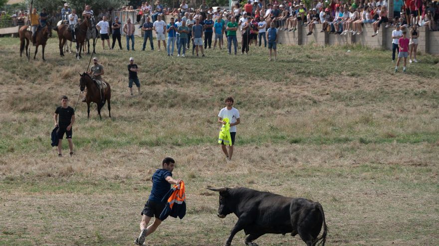 GALERÍA | Los espantes reviven en la pradera de Guarrate