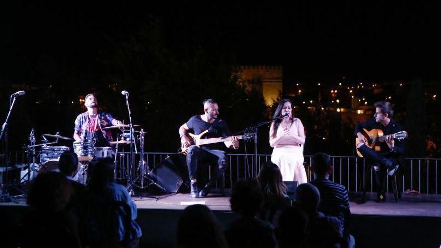 Imagen de archivo de Flamenco en la terraza