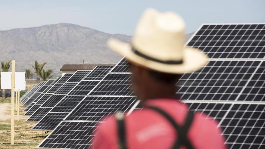 La Generalitat rechaza una planta solar en Dolores para preservar suelo de alto valor agrícola