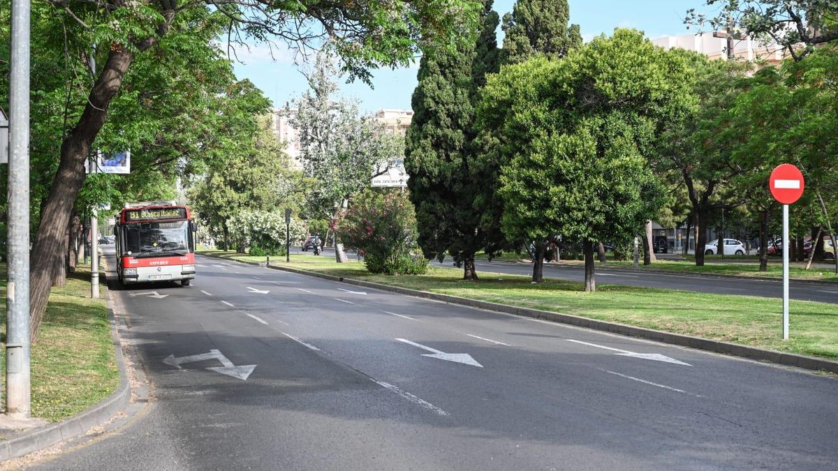 Tramo de la avenida donde se habilitará este carril bus rápido.