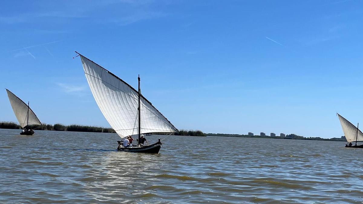 Vela latina por l'Albufera.
