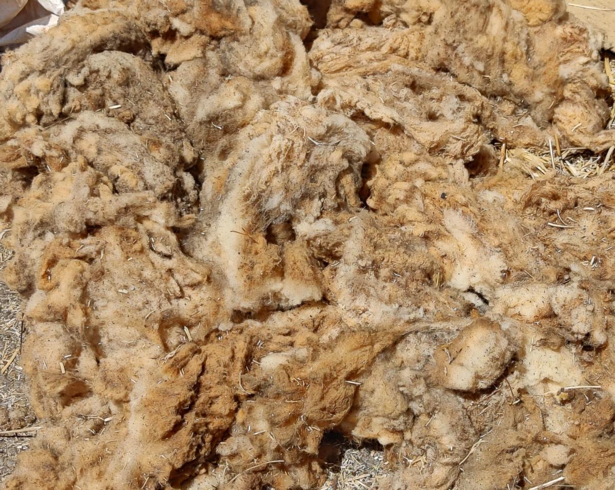 Usos de la lana: Fertilizante líquido como vía de salida