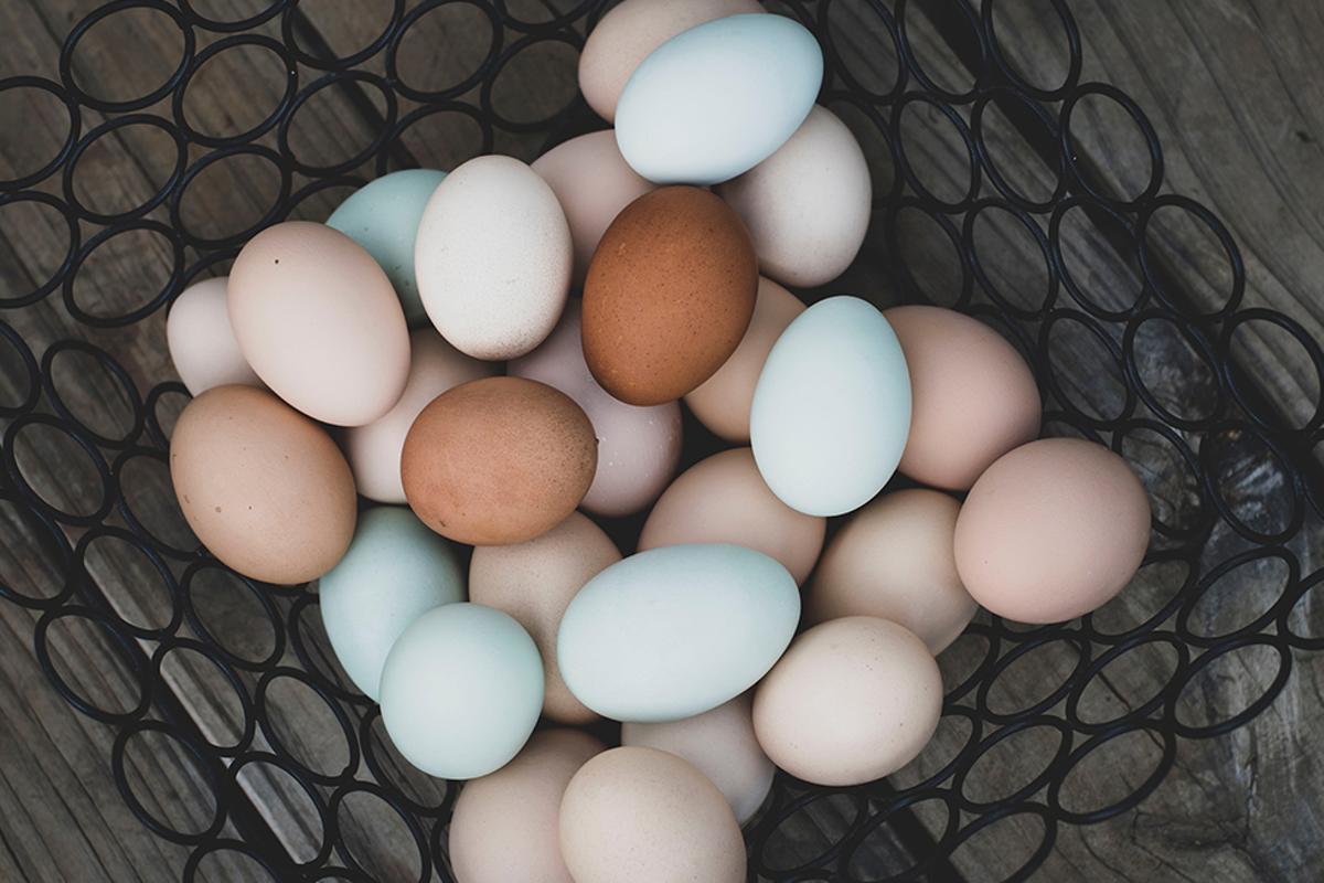 Diferentes tipos de huevos