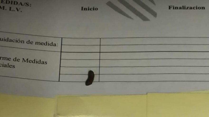Una rata anda suelta por la Fiscalía de Menores de Alicante