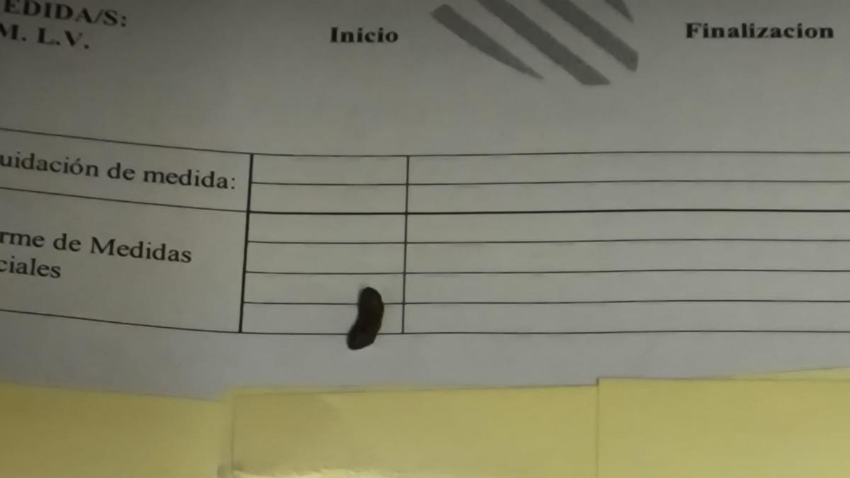 Resto de excremento de una rata en un expediente de la Fiscalía.