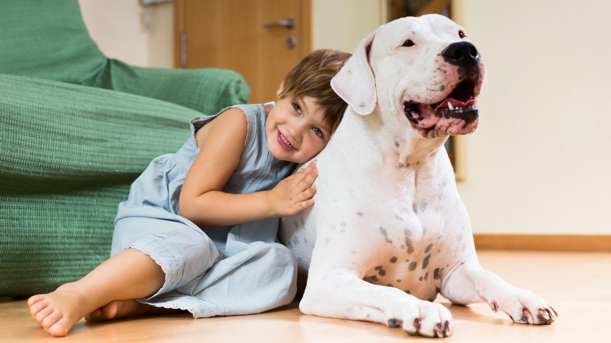 Animales de compañía: ¿Es legal prohibir mascotas en una casa de alquiler  con la nueva ley de mascotas?