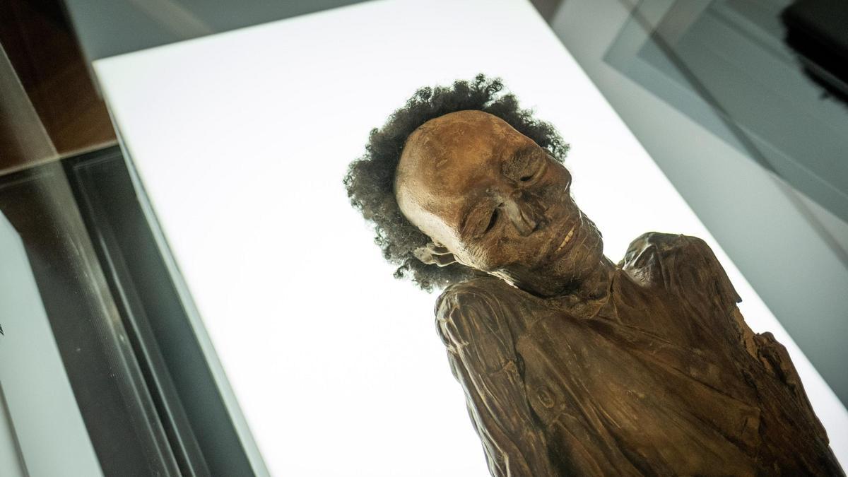 La réplica de la momia de Madrid que se exhibe en el Museo de Naturaleza y Arqueología de Tenerife (MUNA)