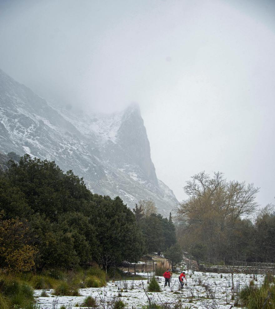 Nieve en la zona del Puig Major