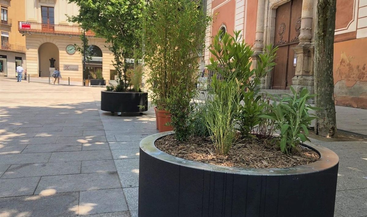 Mataró instal·la jardineres ornamentals al centre per «embellir el principal eix cívic de la ciutat» Mataró instal·la jardineres ornamentals al centre per «embellir el principal eix cívic de la ciutat»