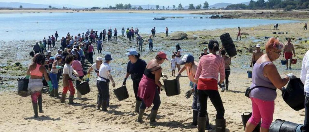 Mariscadoras de A Illa trabajaron ayer en la limpieza del banco marisquero de Riasón. // Noé Parga