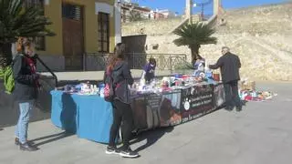 La Protectora de Burjassot pone en marcha la campaña “Un hogar para el invierno”