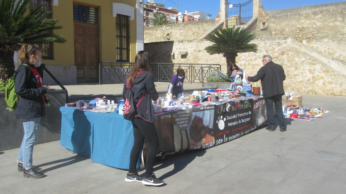 La SPAB en una reciente actividad de sensibilización.