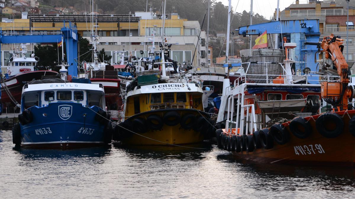 Barcos bateeiros amarrados en el puerto de Bueu.