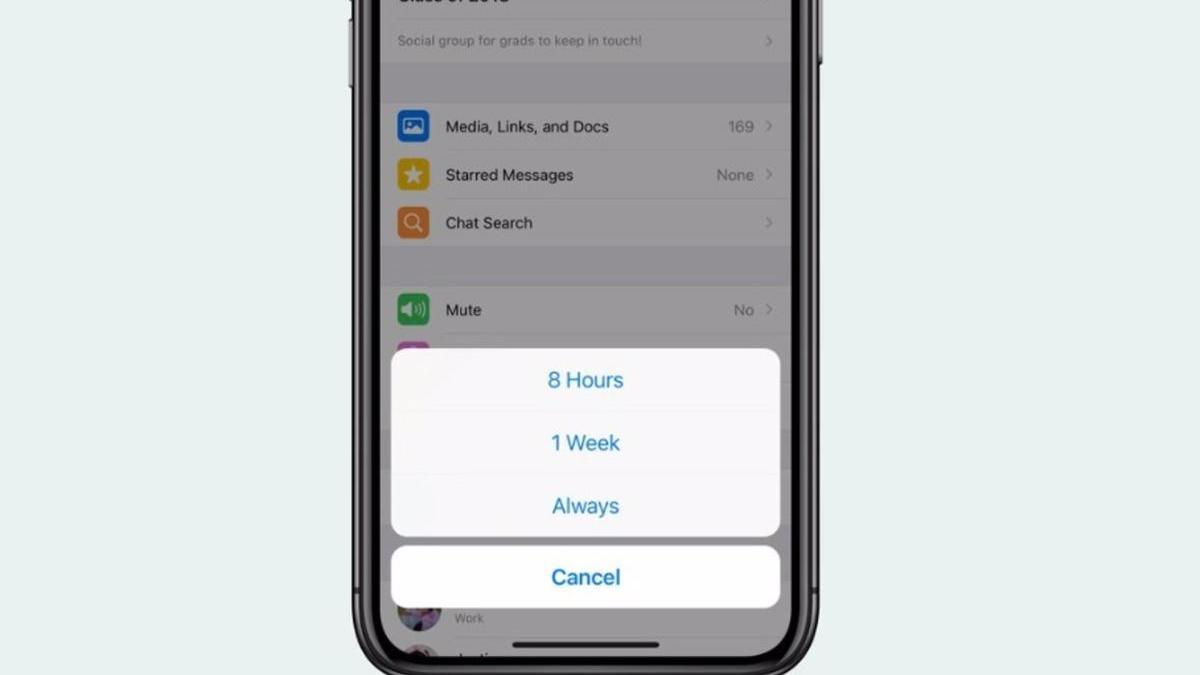 Ya puedes silenciar tus grupos de Whatsapp para siempre.