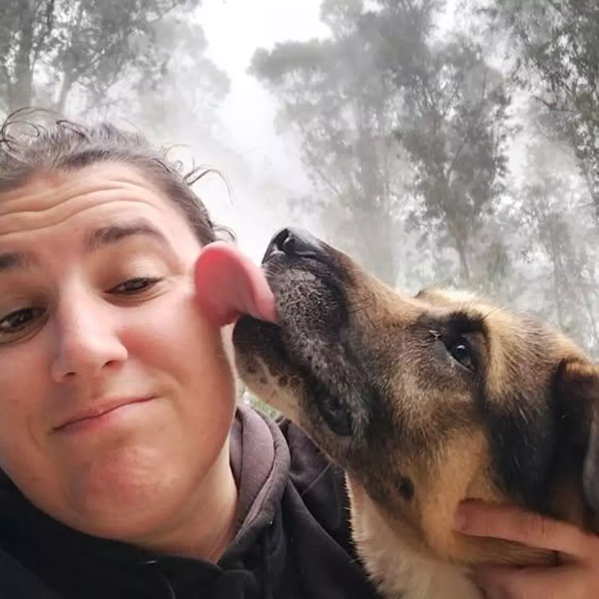 Rocky necesita salir del canil de O Morrazo: «Es cariñoso y muy sociable; es incomprensible que aún no lo hayan adoptado»